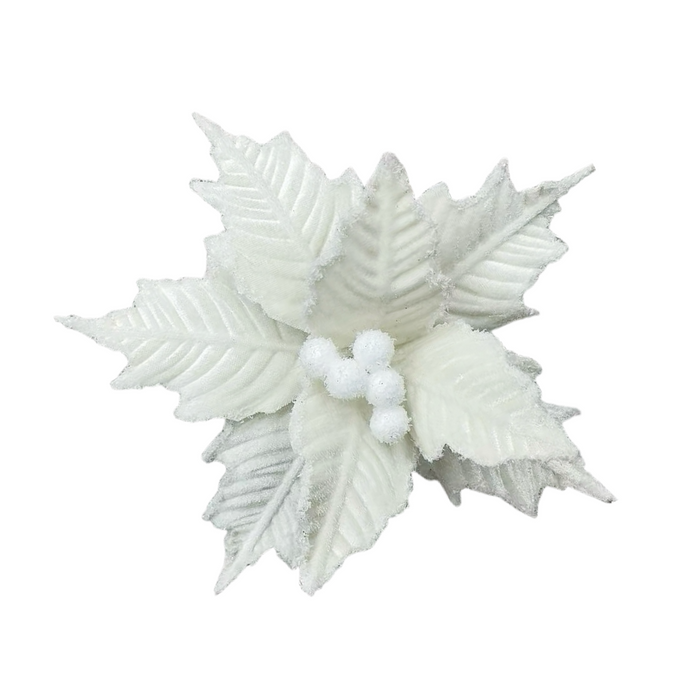 23cm Frosted Poinsettia w/ White