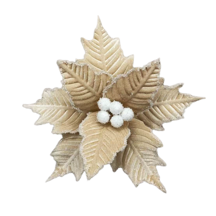 23cm Frosted Poinsettia w/ Beige