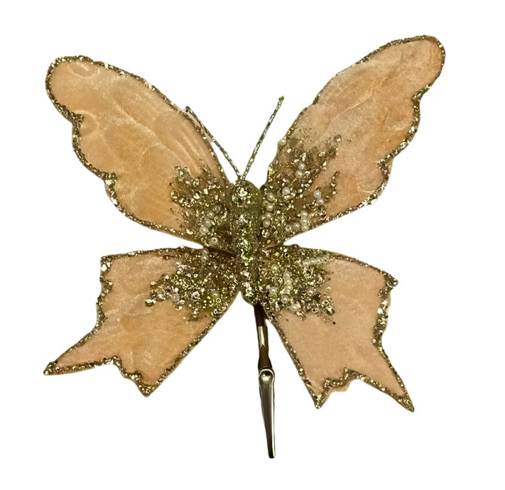 19cm Velvet Butterfly w/ Gold