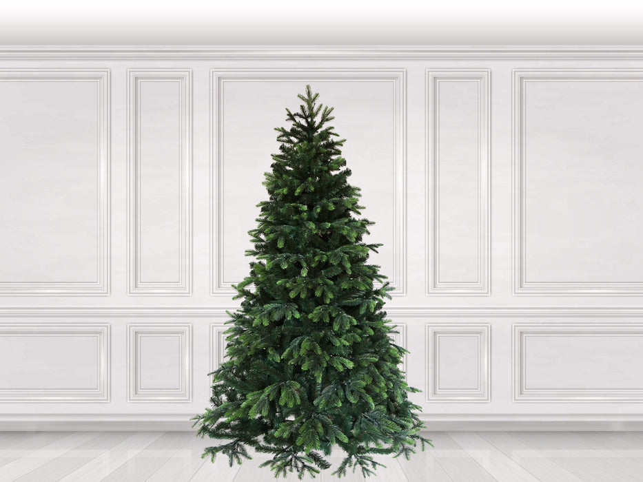 Fraser Fir Christmas Tree