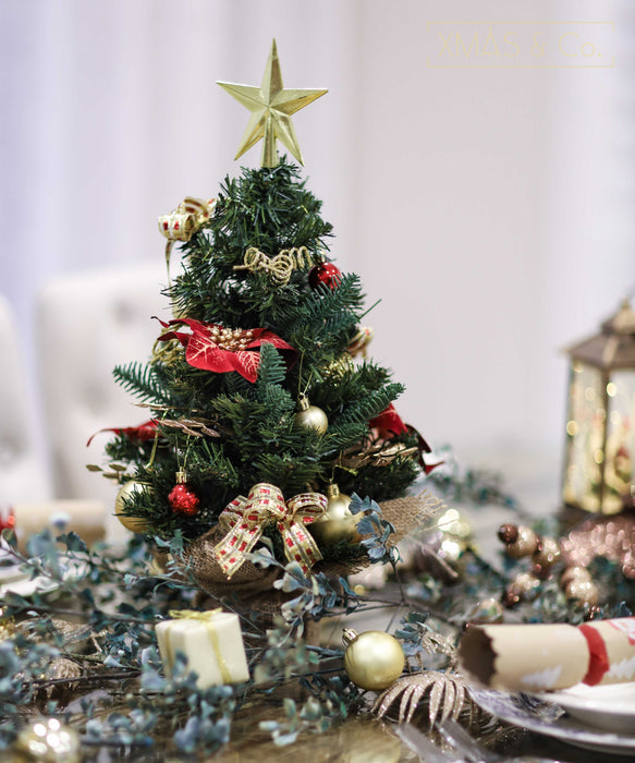 Mini Christmas Tree with Decoration Package