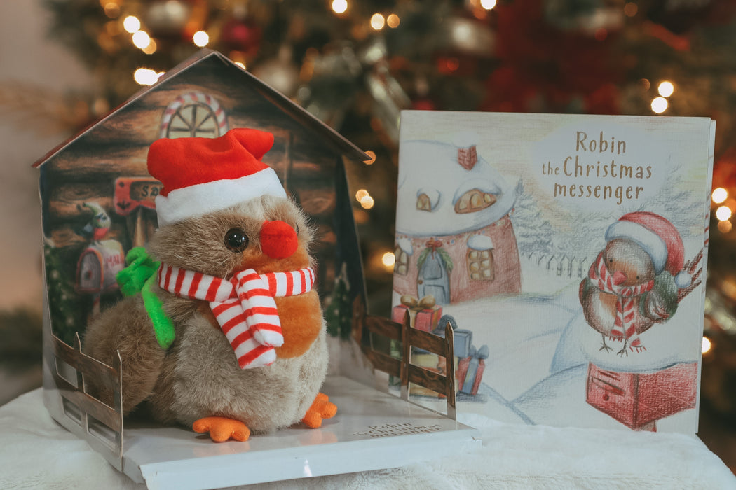 Robin the Christmas messenger