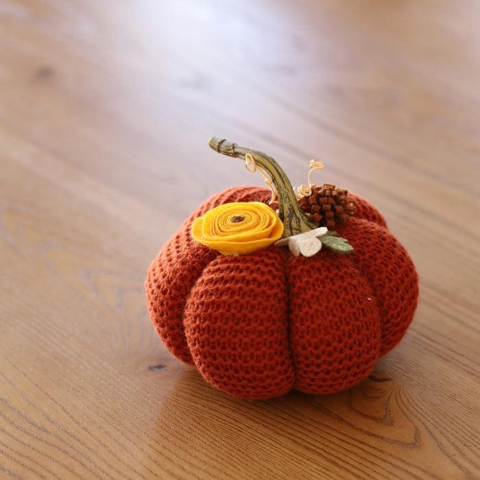 Halloween Orange Pumpkin